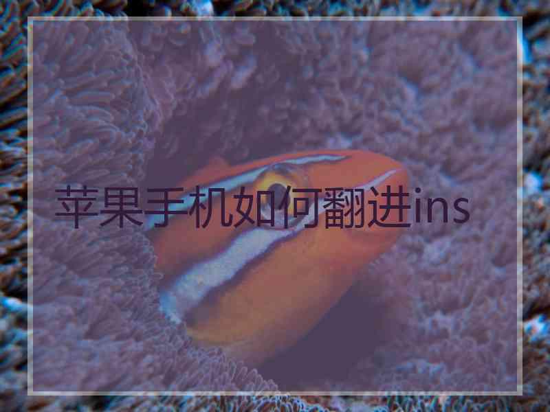 苹果手机如何翻进ins