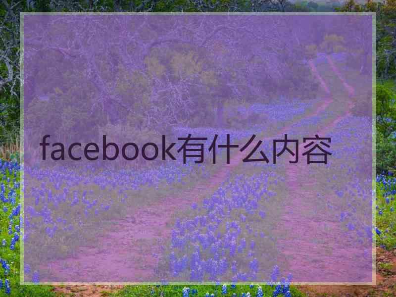 facebook有什么内容