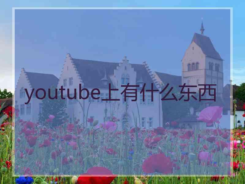 youtube上有什么东西