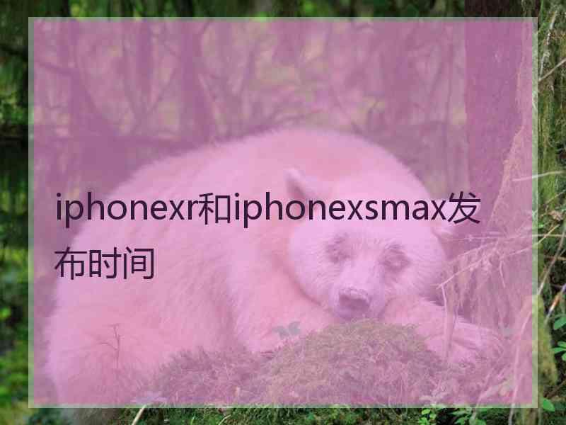 iphonexr和iphonexsmax发布时间