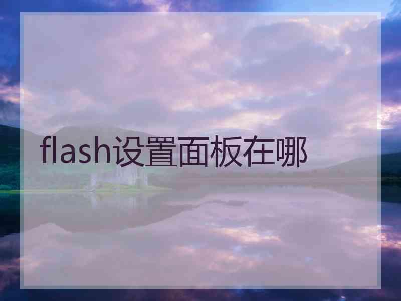 flash设置面板在哪