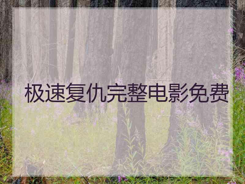 极速复仇完整电影免费