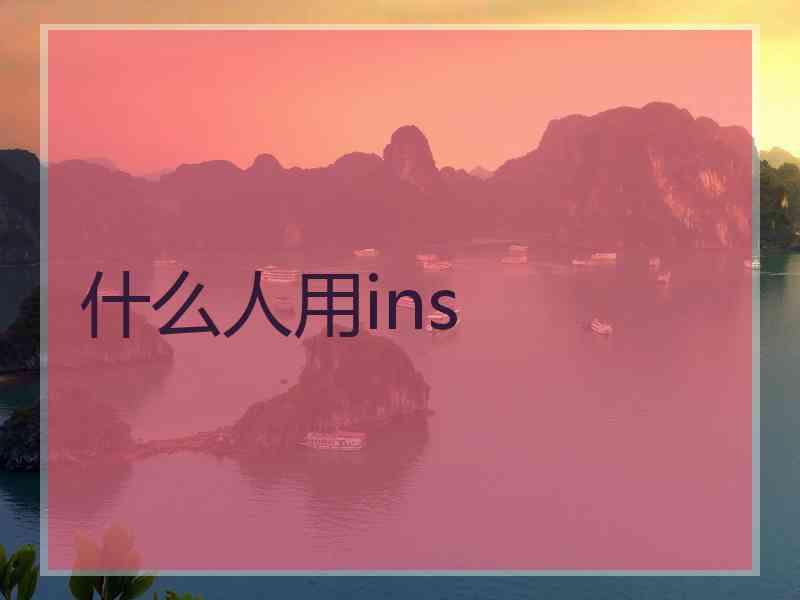 什么人用ins