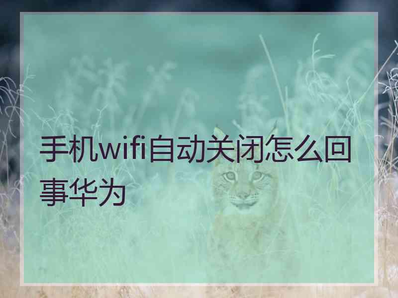 手机wifi自动关闭怎么回事华为