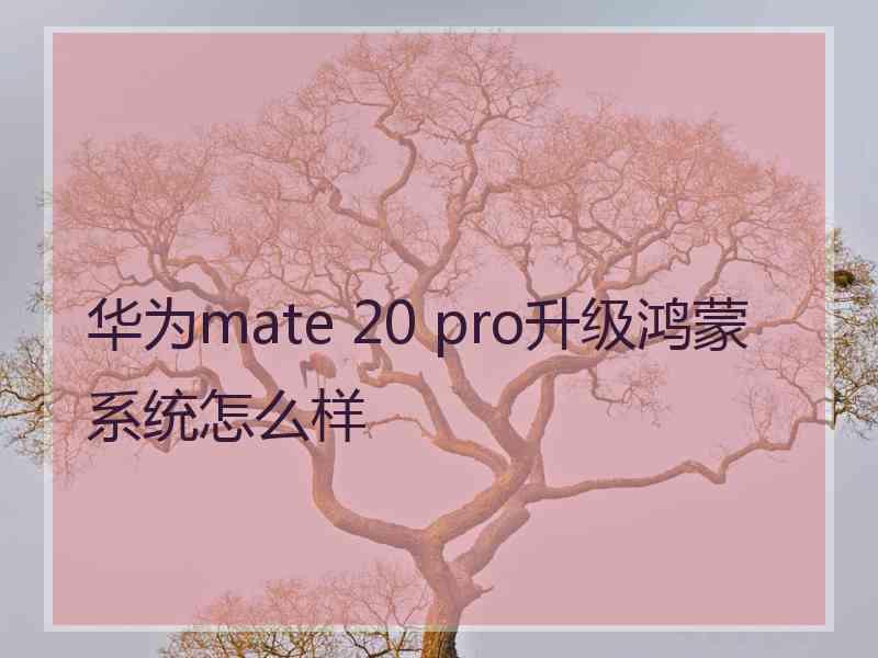 华为mate 20 pro升级鸿蒙系统怎么样