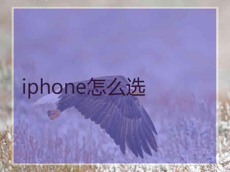 iphone怎么选