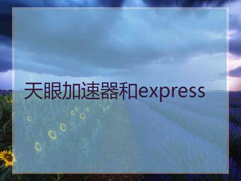 天眼加速器和express