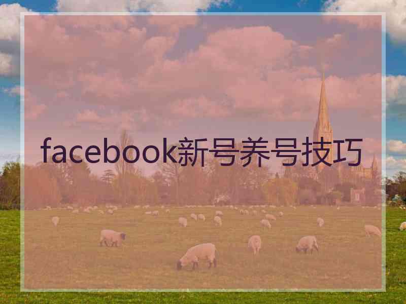 facebook新号养号技巧