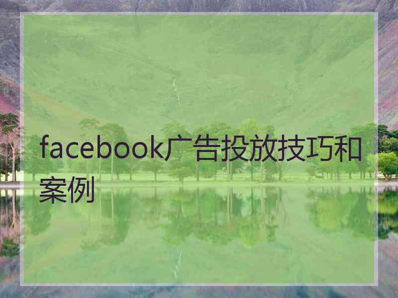 facebook广告投放技巧和案例