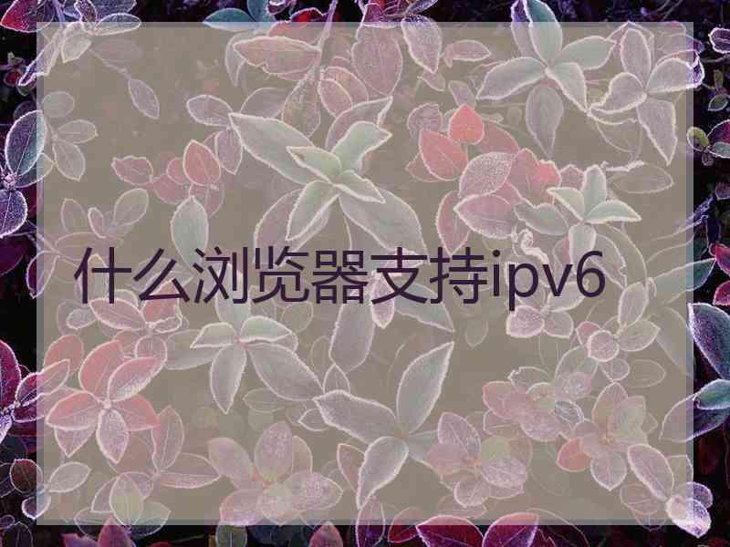 什么浏览器支持ipv6