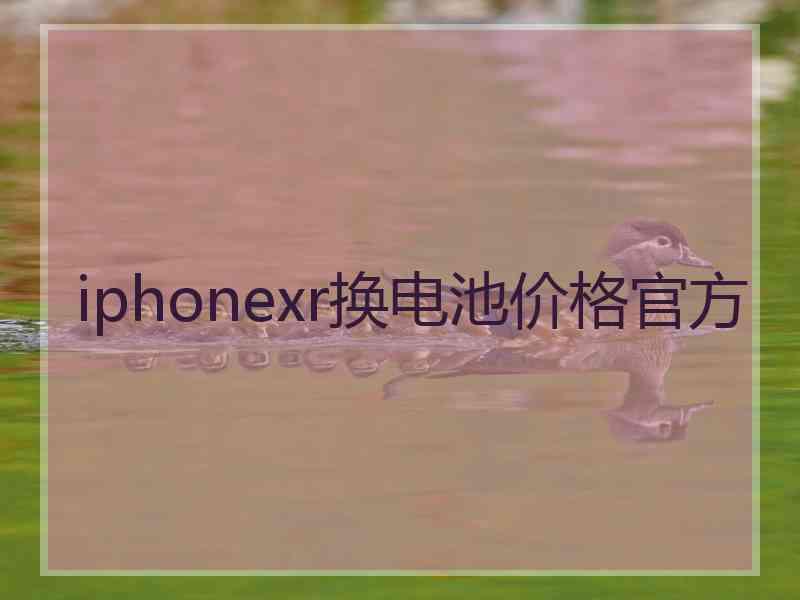 iphonexr换电池价格官方