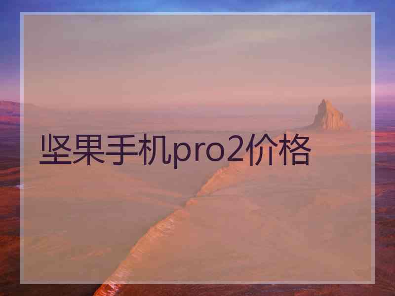 坚果手机pro2价格