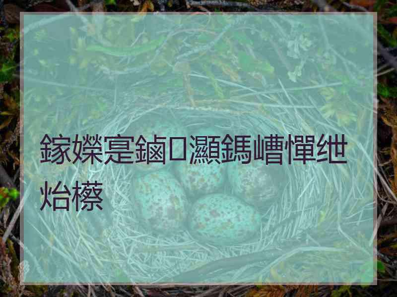 鎵嬫寔鏀灦鎷嶆憚绁炲櫒