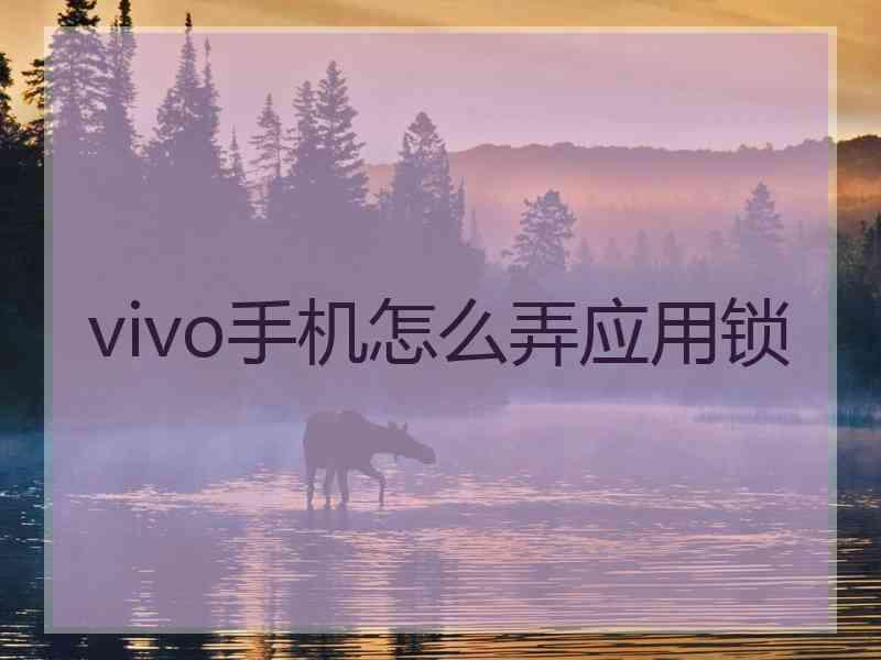 vivo手机怎么弄应用锁