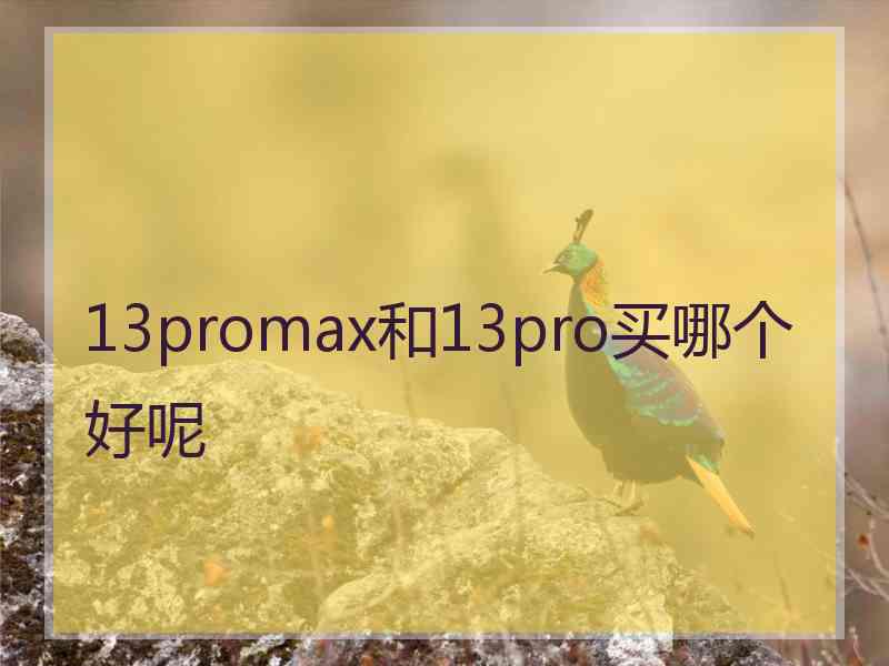 13promax和13pro买哪个好呢