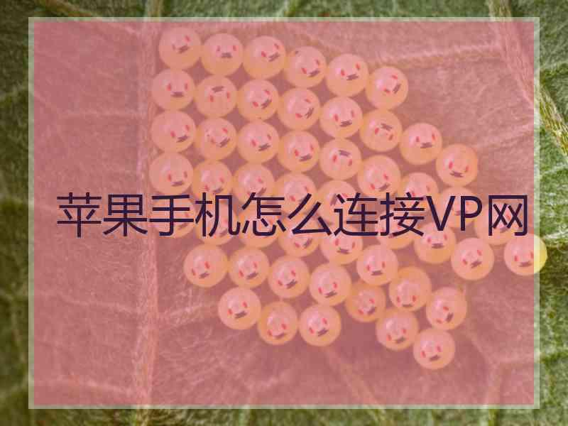 苹果手机怎么连接VP网