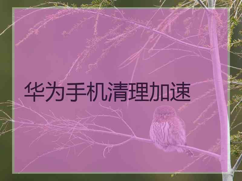 华为手机清理加速