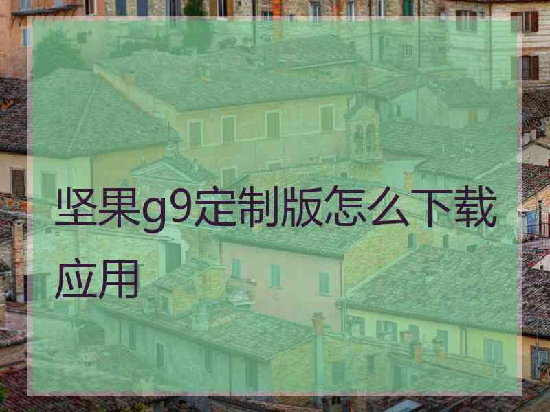 坚果g9定制版怎么下载应用