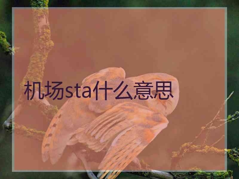 机场sta什么意思