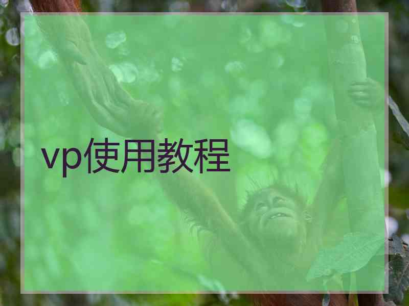 vp使用教程