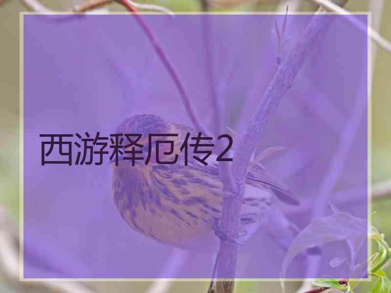 西游释厄传2