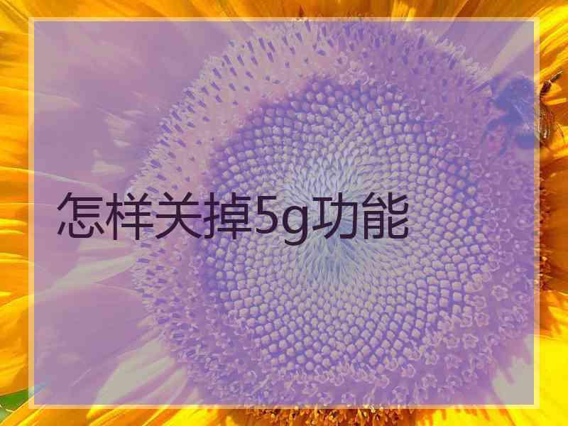 怎样关掉5g功能