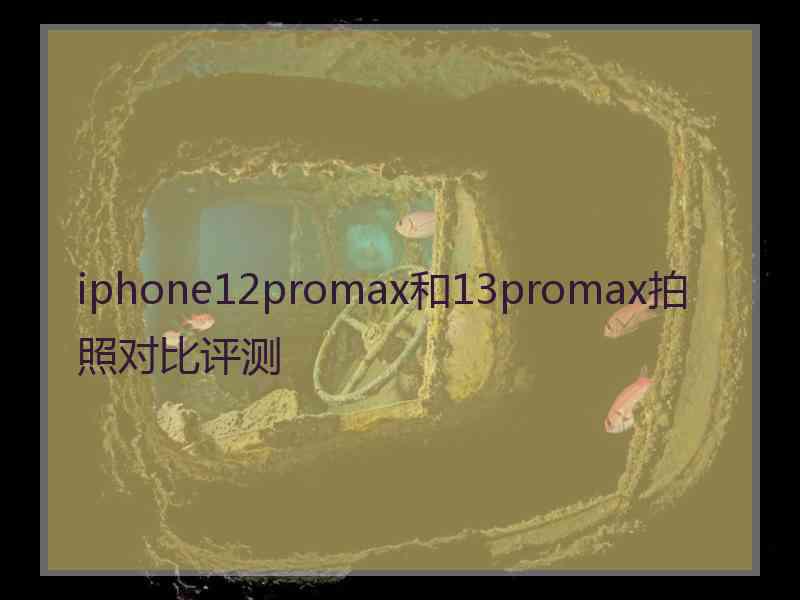 iphone12promax和13promax拍照对比评测