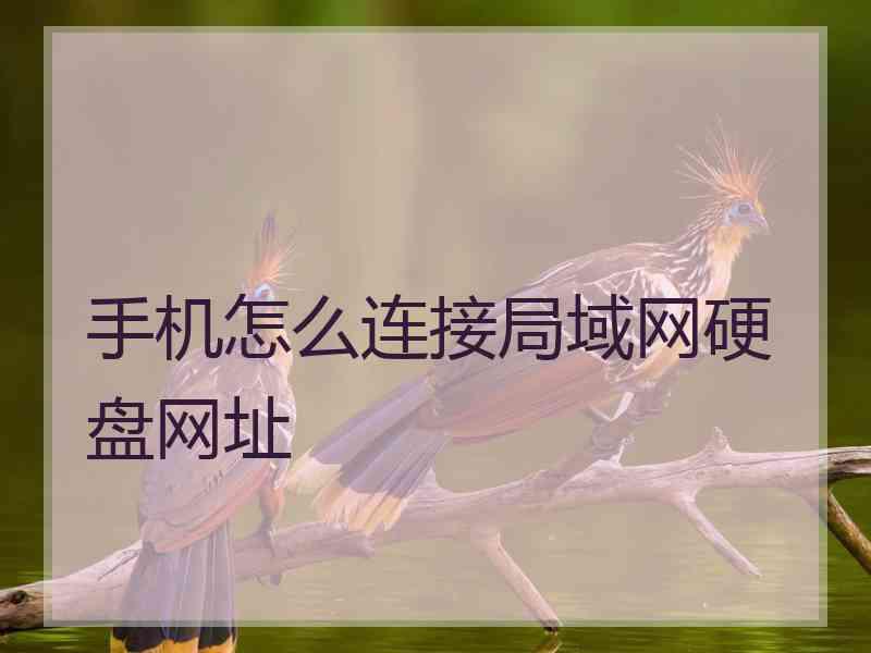 手机怎么连接局域网硬盘网址