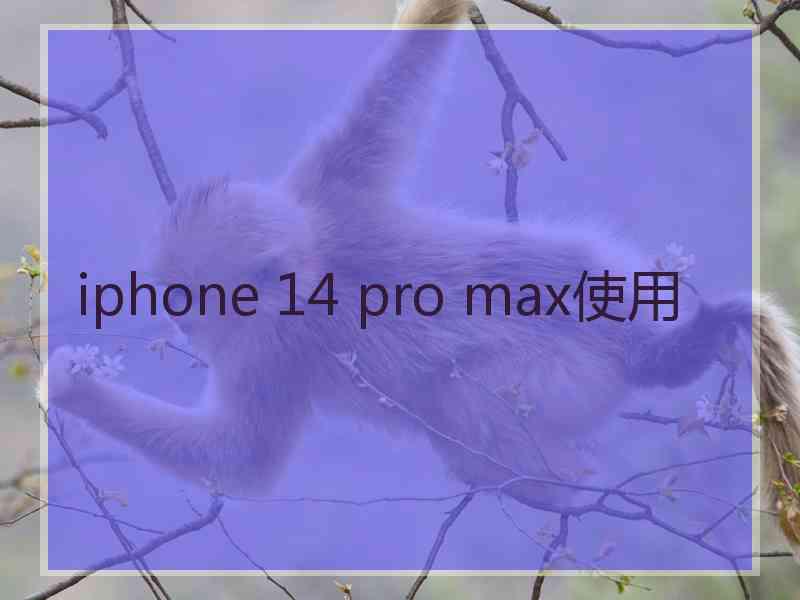 iphone 14 pro max使用