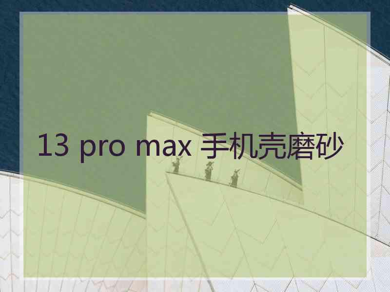 13 pro max 手机壳磨砂