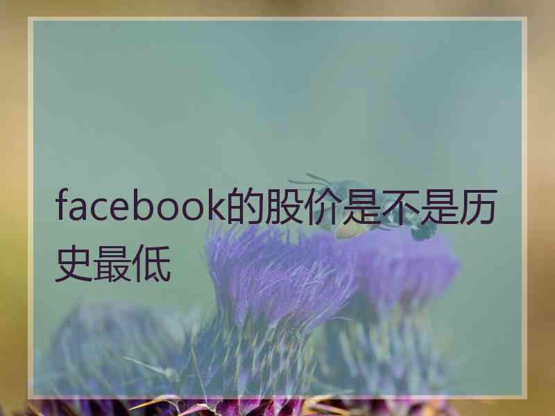 facebook的股价是不是历史最低