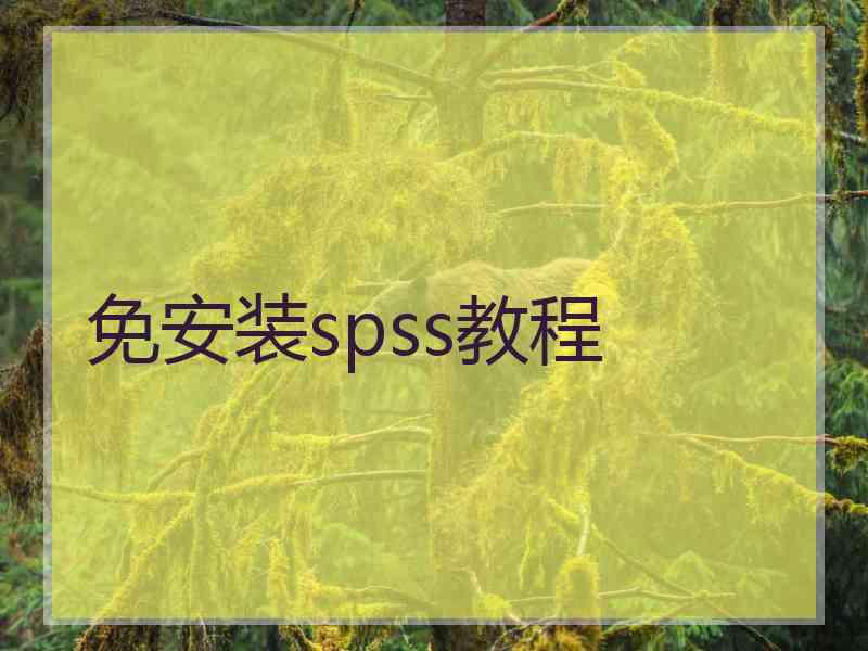 免安装spss教程