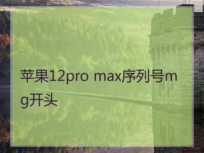 苹果12pro max序列号mg开头