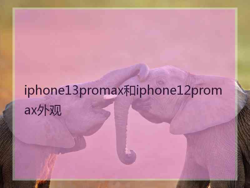 iphone13promax和iphone12promax外观