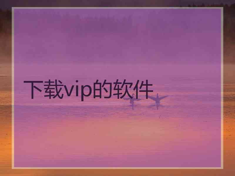 下载vip的软件