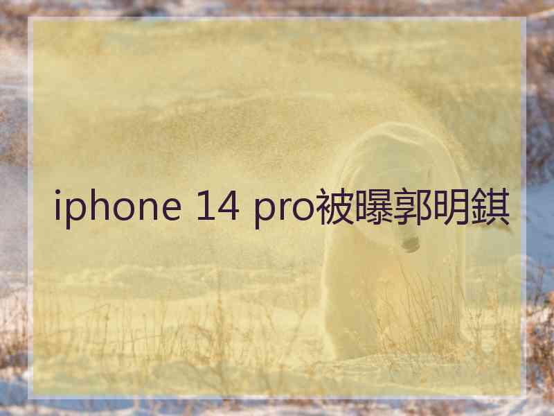 iphone 14 pro被曝郭明錤