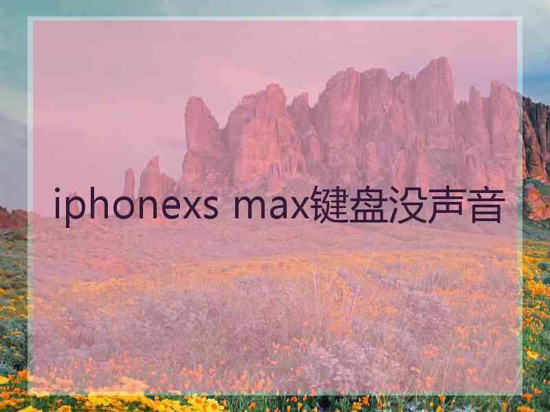 iphonexs max键盘没声音