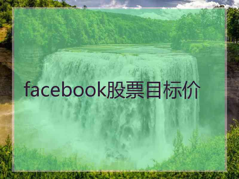 facebook股票目标价