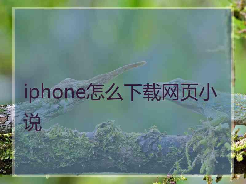 iphone怎么下载网页小说