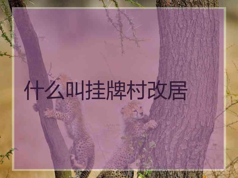 什么叫挂牌村改居