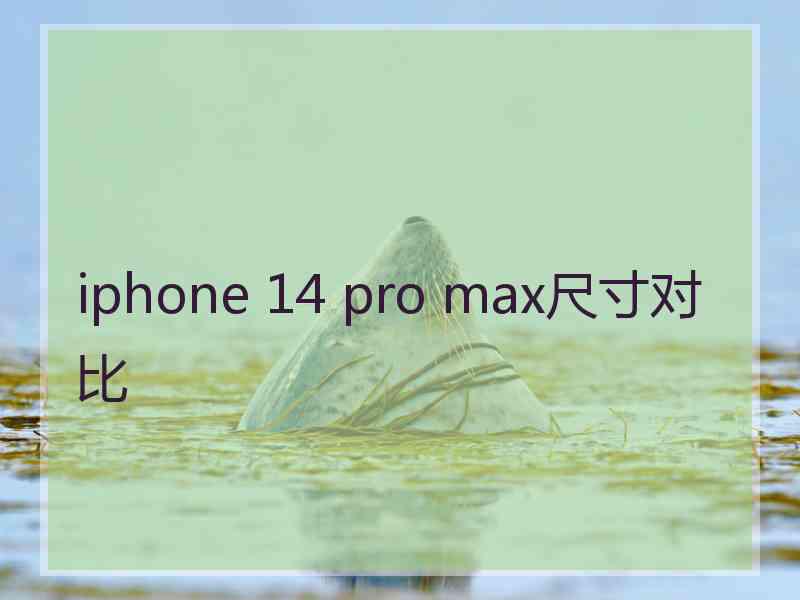 iphone 14 pro max尺寸对比