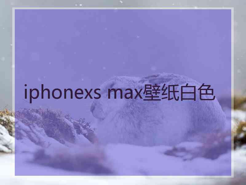 iphonexs max壁纸白色