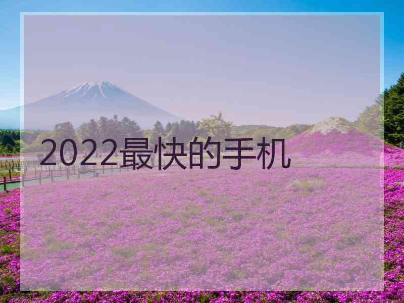 2022最快的手机