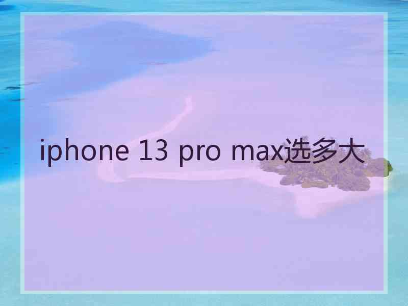 iphone 13 pro max选多大