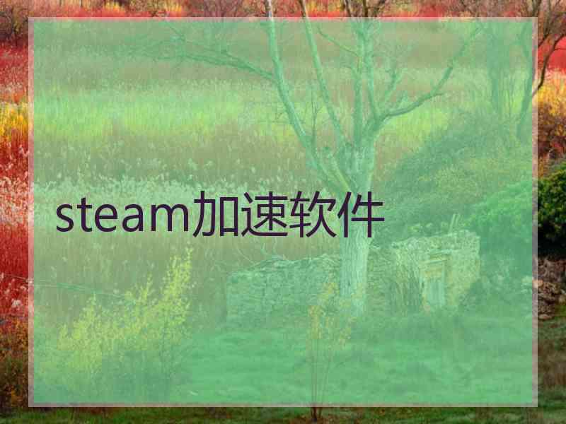 steam加速软件