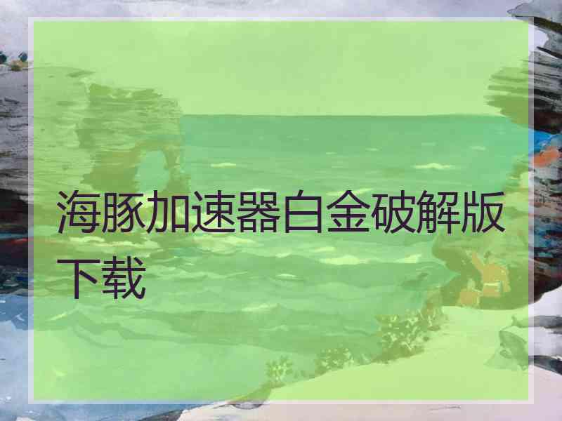 海豚加速器白金破解版下载