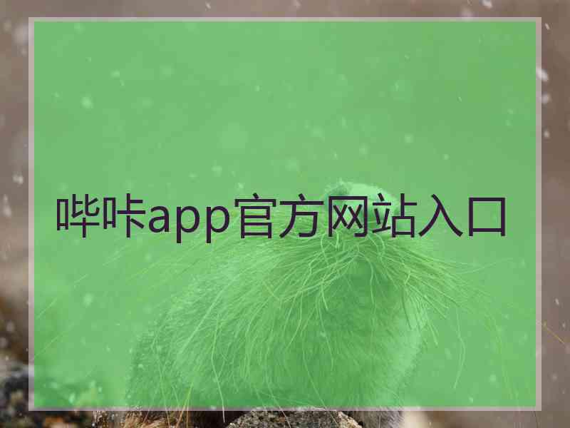 哔咔app官方网站入口