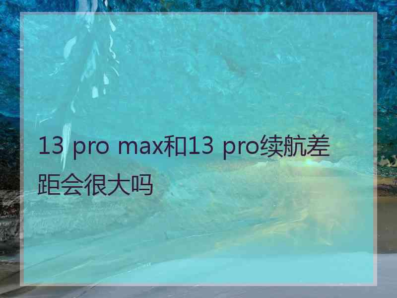 13 pro max和13 pro续航差距会很大吗