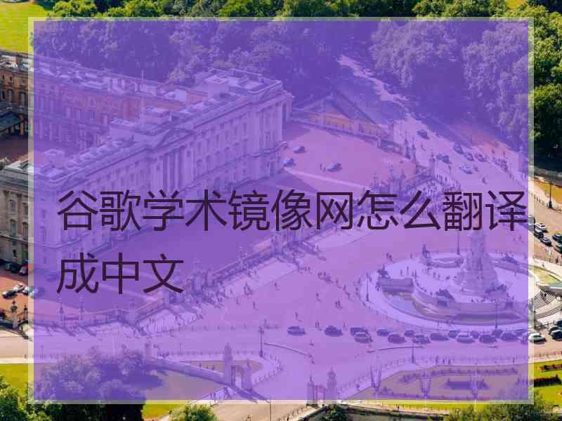 谷歌学术镜像网怎么翻译成中文