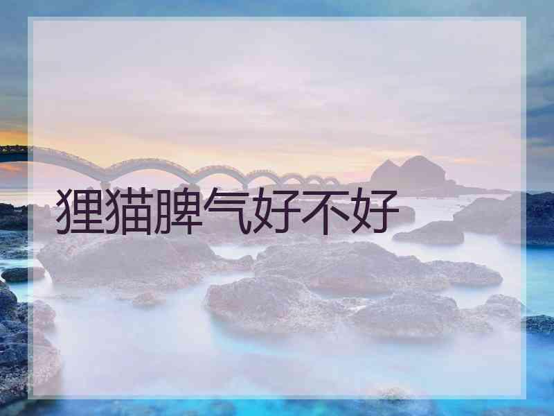 狸猫脾气好不好